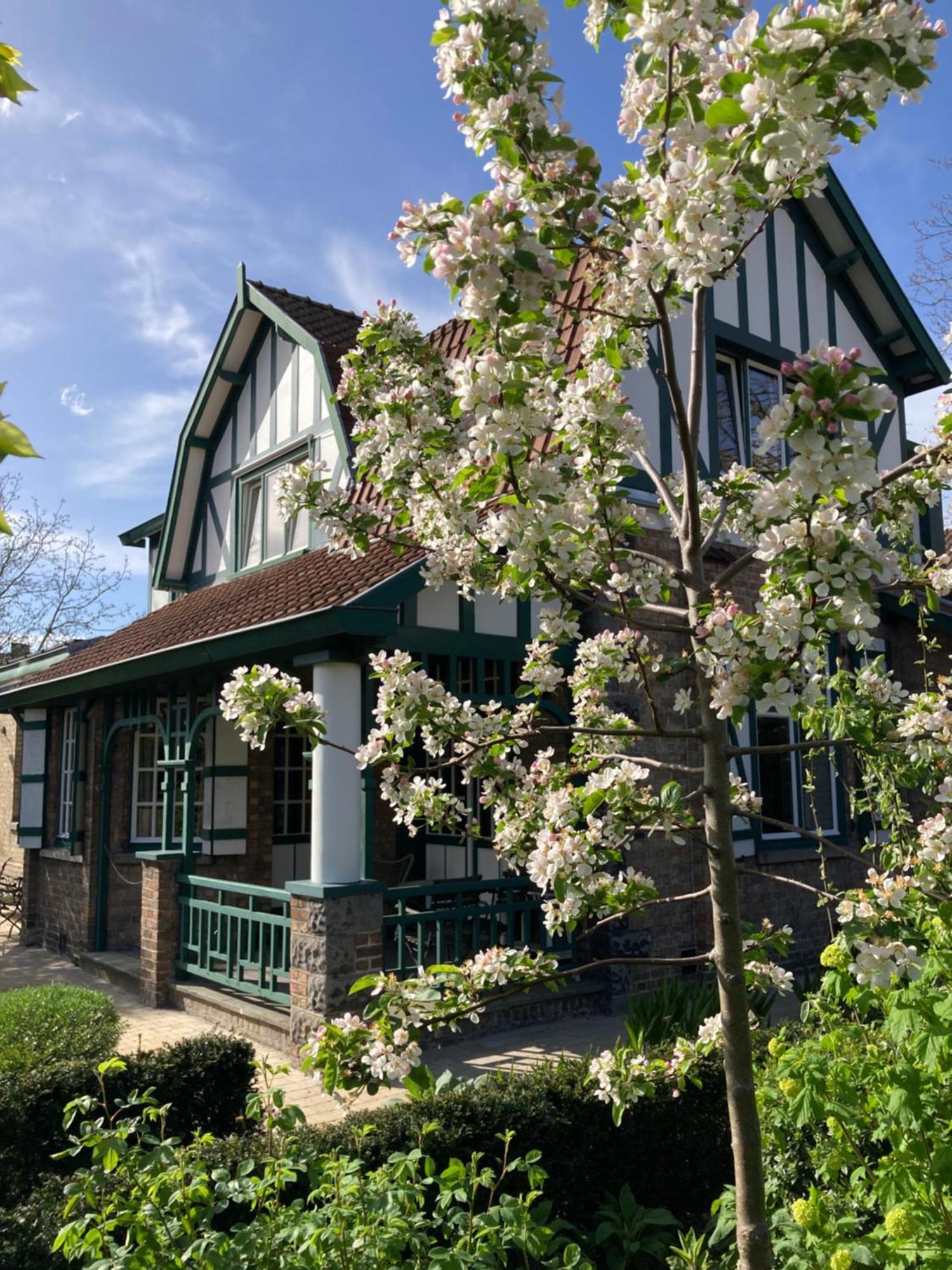 브뤼헤 Tree & B B&B 외부 사진