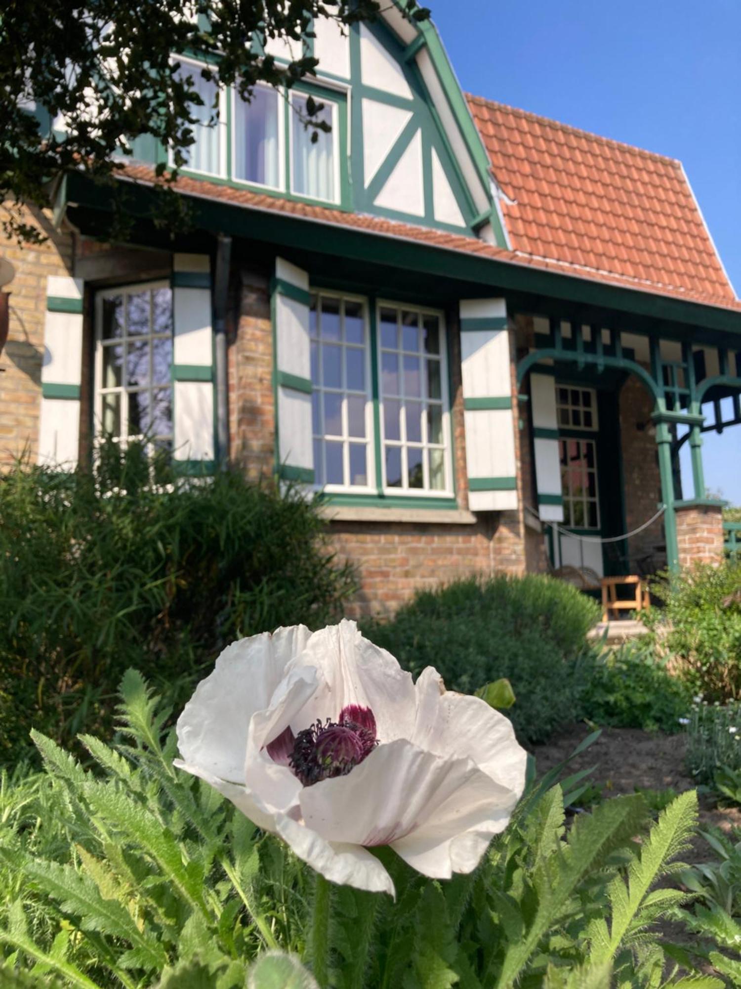브뤼헤 Tree & B B&B 외부 사진